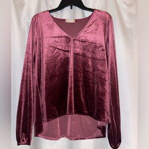 Altard State Maroon Velvet blouse size large